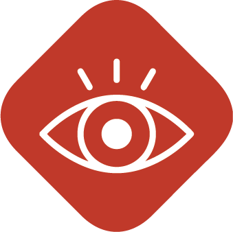 Vision icon